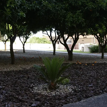 Szálloda Comendador Bombarral