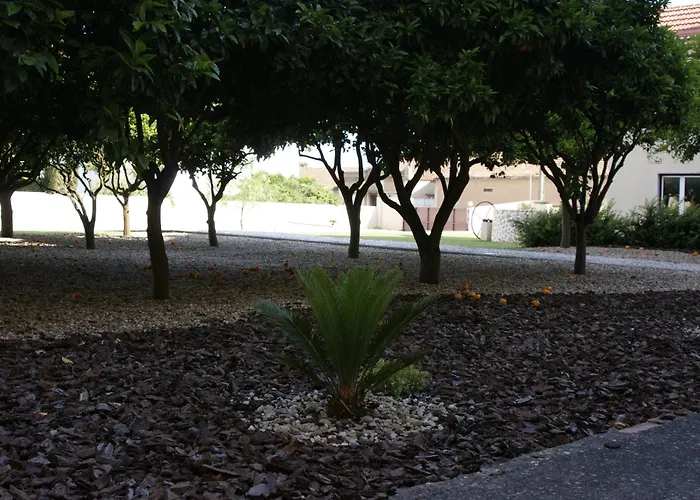 Hotel Comendador Bombarral